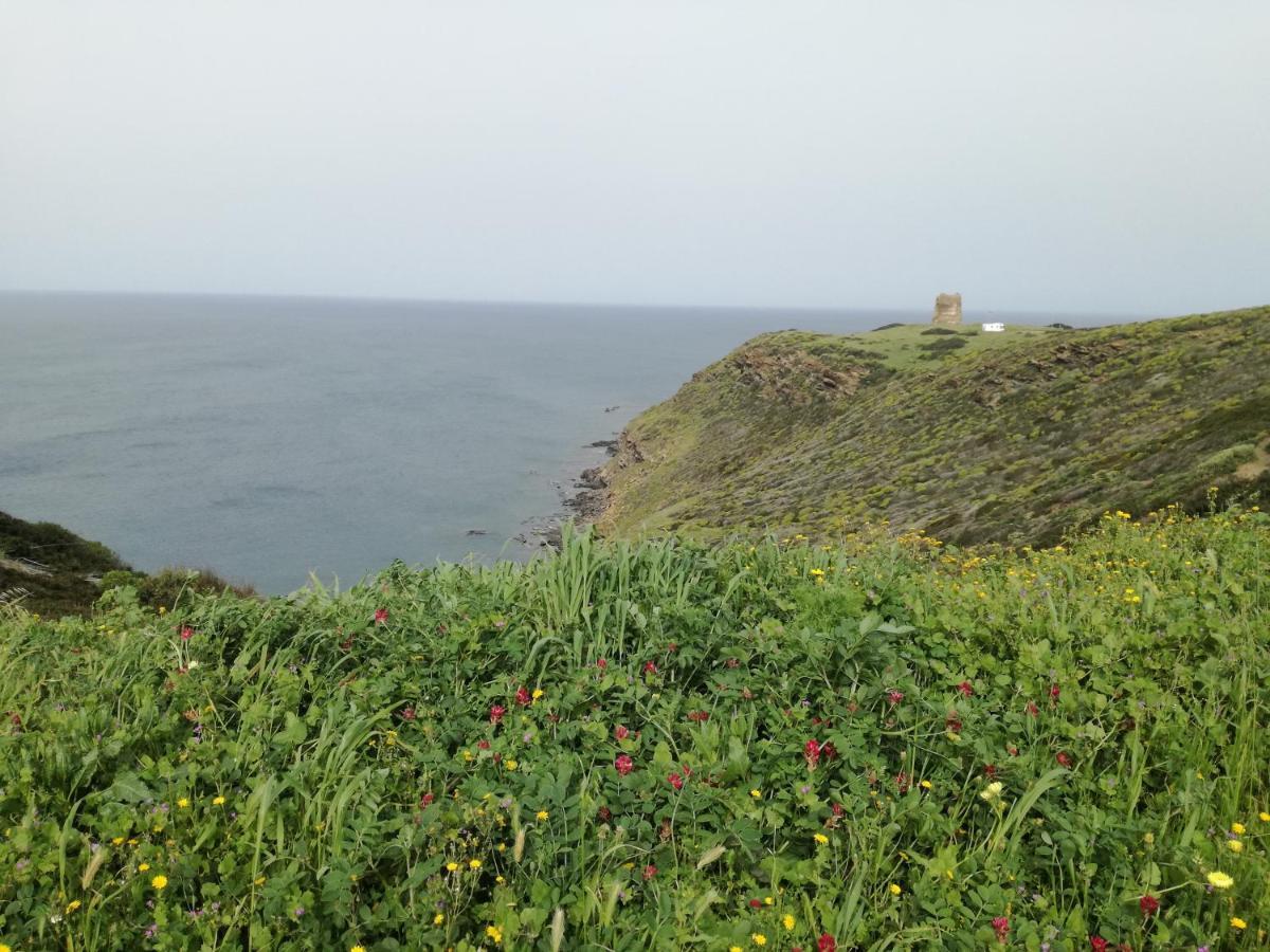 La Calla Bianca Torre dei Corsari Zewnętrze zdjęcie